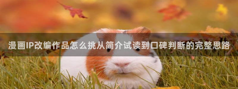 漫画屋漫画阅读网站